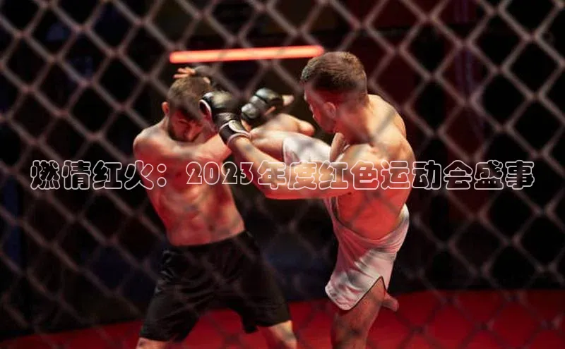 非凡体育百度网盘企业版燃情红火：2023年度红色运动会盛事