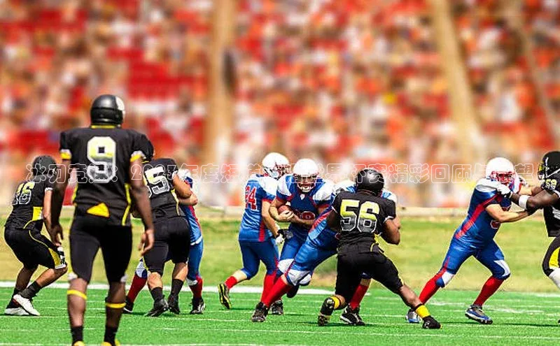 冰刃竞速：2023年度短道速滑世界杯赛精彩回顾与展望