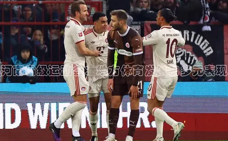 河南省级运动会：地方体育发展的多元表现