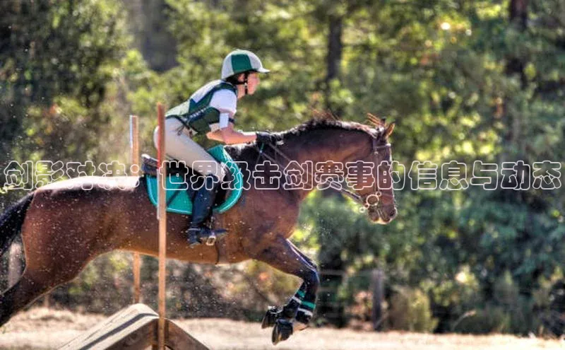 剑影对决：世界级击剑赛事的信息与动态