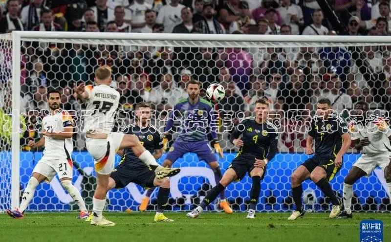 水球运动的顶尖赛事：国际锦标赛