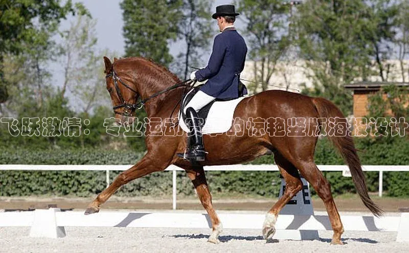 飞跃激情：专业运动赛事的惊艳竖版海报设计