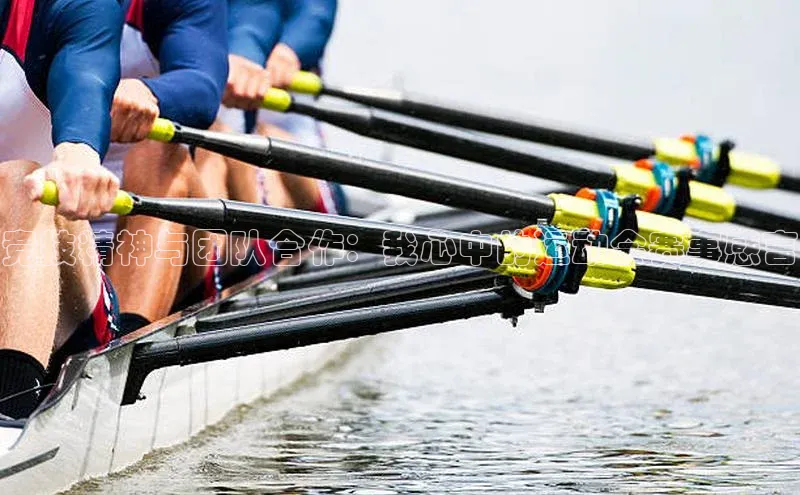 竞技精神与团队合作：我心中的运动会赛事感言