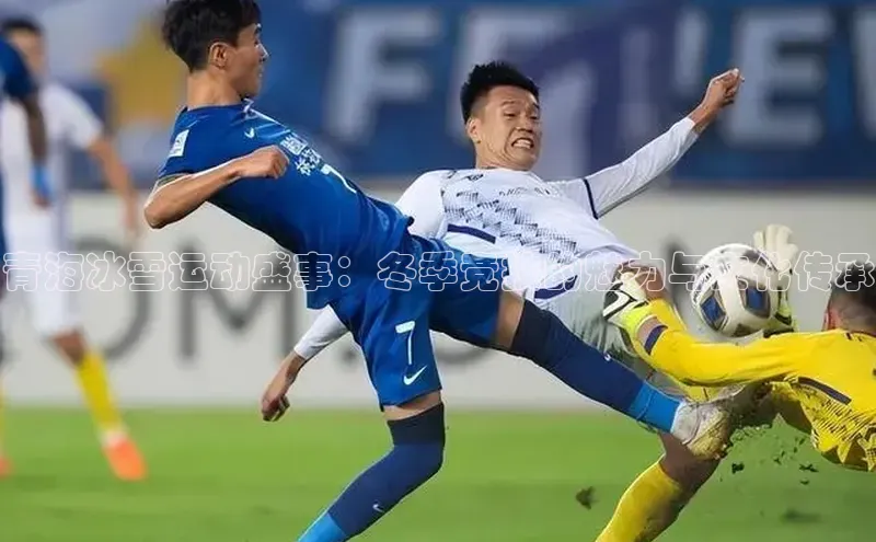 青海冰雪运动盛事：冬季竞技的魅力与文化传承