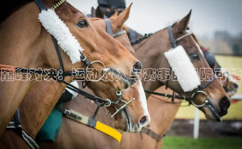 巅峰对决：运动收入与赛事的无限可能