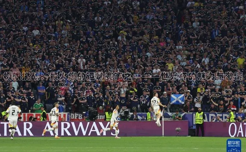 非凡体育平台登录入口