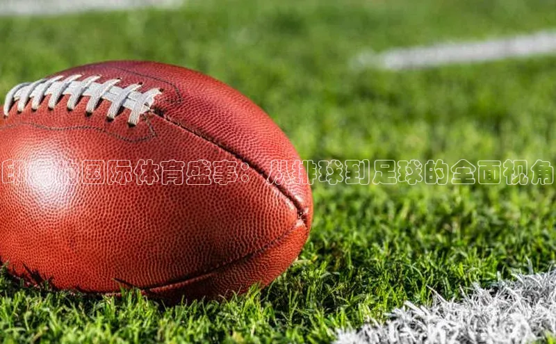 非凡体育2121app官网版