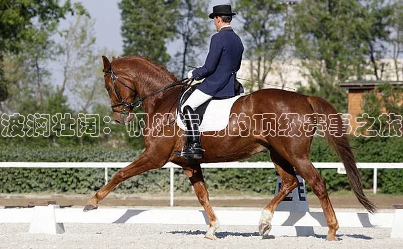 2121非凡足球网页版